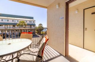 Sea Palm G - 6