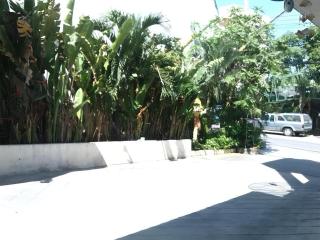 PB Resort - 6