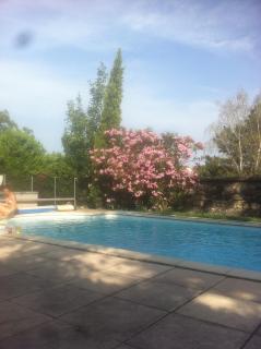 Ardèche, studio indépendant dans jardin - 8