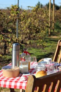 Moment's in Nature Vineyard Bungalows Pool & Jacuzzi - 4