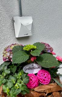 Ferienhaus Waldblick - 6