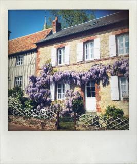 Au Ptit Paradis - 4