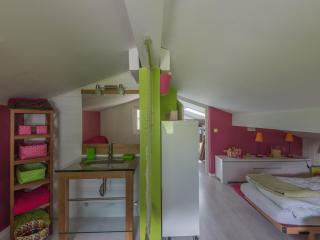 Duplex 6 pers, Animaux admis, Parking, Vue Mont Blanc - FR-1-517-11 - 3