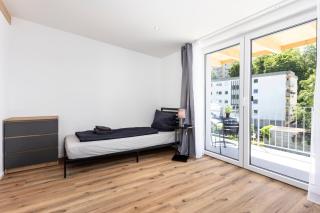 Design Penthouse Lörrach near Basel & Black Forest - 8