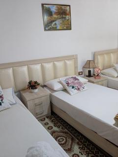 Tomor Shehu Guest House - Berat - 6
