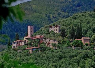 Peralta Tuscany - 8