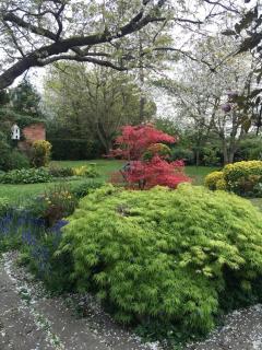 English Cottage with traditional garden - 1