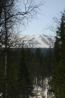 Hillankukka - Äkäslompolo - 3