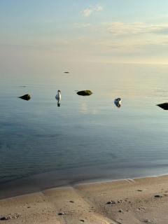 Groland Bornholm - 3