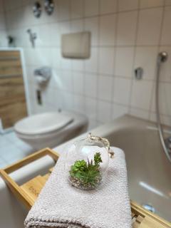 Haus Sonnenwinkel 2-Raum-Wohnung Großer Ochsenkopf - 1