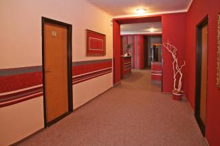 Hotel Zlaty Jelen - Horažďovice - 6