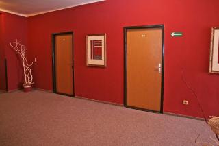 Hotel Zlaty Jelen - Horažďovice - 7