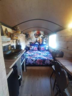 Roulotte cosy avec bain nordique - Vosges - 5