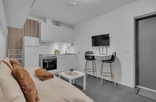 Nordheim studio apartment - 2