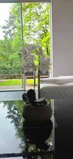 Magnifique Loft avec Terrasse -Jardin - Lausanne - 1
