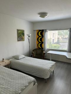 Large apartment in the centre of Jyväskylä with private swimming pool and sauna - 6