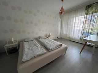 Large apartment in the centre of Jyväskylä with private swimming pool and sauna - 3