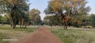 Merensky Game Lodge Guest House - 7