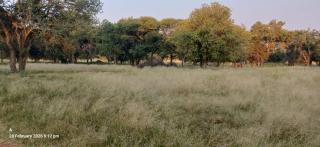 Merensky Game Lodge Guest House - 4