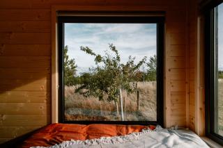 Romantic Cotswolds Cabin In Orchard - 6