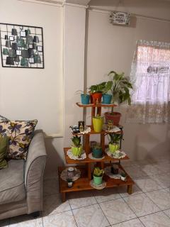 T & H Oasis - 2