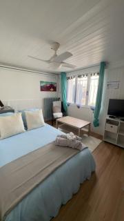 Cozy studio close to CDG, Astérix, Chantilly, Paris - 7