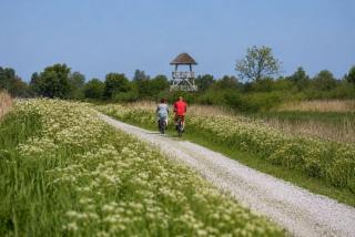 Het Vogelhuisje - 4