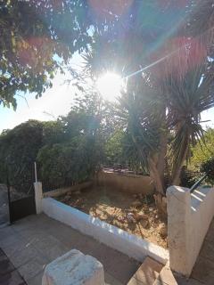 Olive Grove Cottage Skalani - 7