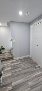 The Ambience - 1