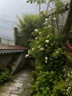 VINTAGE HOMES, Darjeeling - 4