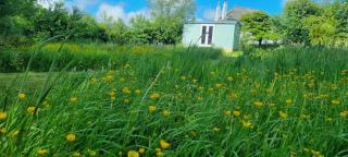 Delightful Shepherd's Hut set in peaceful meadow - 8