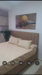 CoCo Nest Cozy Modern Studio Near Mamsha Beach & Airport - 1