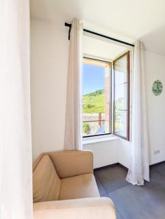 Appartement au cœur des vignes de Féchy - 2