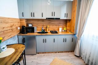 Sofia Residence Studio Cetate - 8
