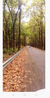 The Unhurried Stay - 7