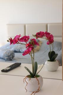 Milla Luxury Apartment - 0