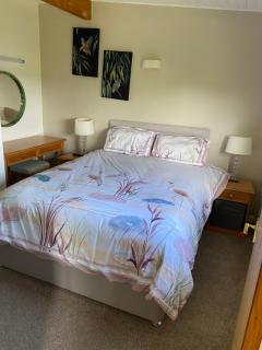 Cosy north Devon lodge within Hartland forest - 2
