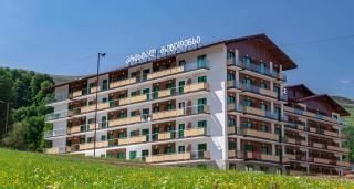 Crystal Residence 314 - Bakuriani - 9