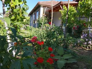 Spring Village Home - 9