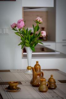 Apartament Młynarza - Młyn Maria - Art Apartments - 2