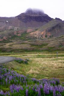 Sigurstapi, Borgarfjörður Eystri - 1
