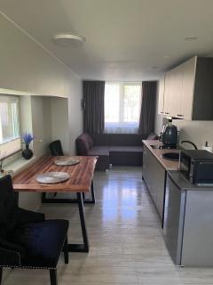 Cozy LUX studio in Palanga, on Sodų Street - 3