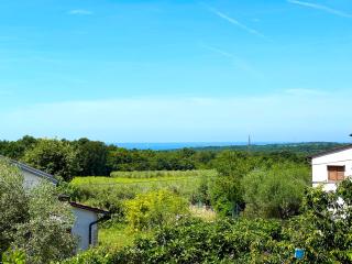 Villa Nerina - Mediterranean Escape - Rošini - 1
