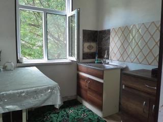 Garden House for Daily Rent in Lerik - 0