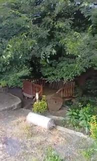 Garden House for Daily Rent in Lerik - 4