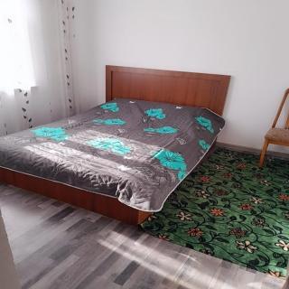 Garden House for Daily Rent in Lerik - 3