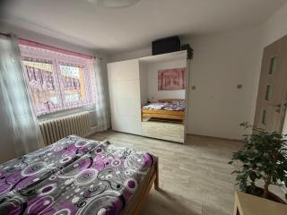 Wellness Rezidence Radomyšl - 5