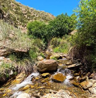 LUXURY HOMEs ALPUJARRA RELAXATION AND NATURE LAUJAR ,PUERTO DE LA RAGUA, FONDON - 4
