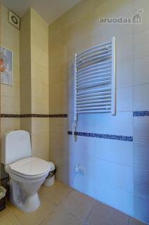 Spacious comfortable big apartment in Pasilaiciai - 4