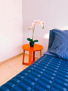 Departamento Coco Guadalajara - 3